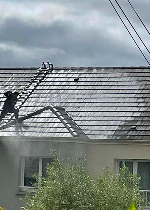 Nettoyage et Démoussage de toiture  à Villeneuve-d'Ascq (59650) dans le Nord (59)