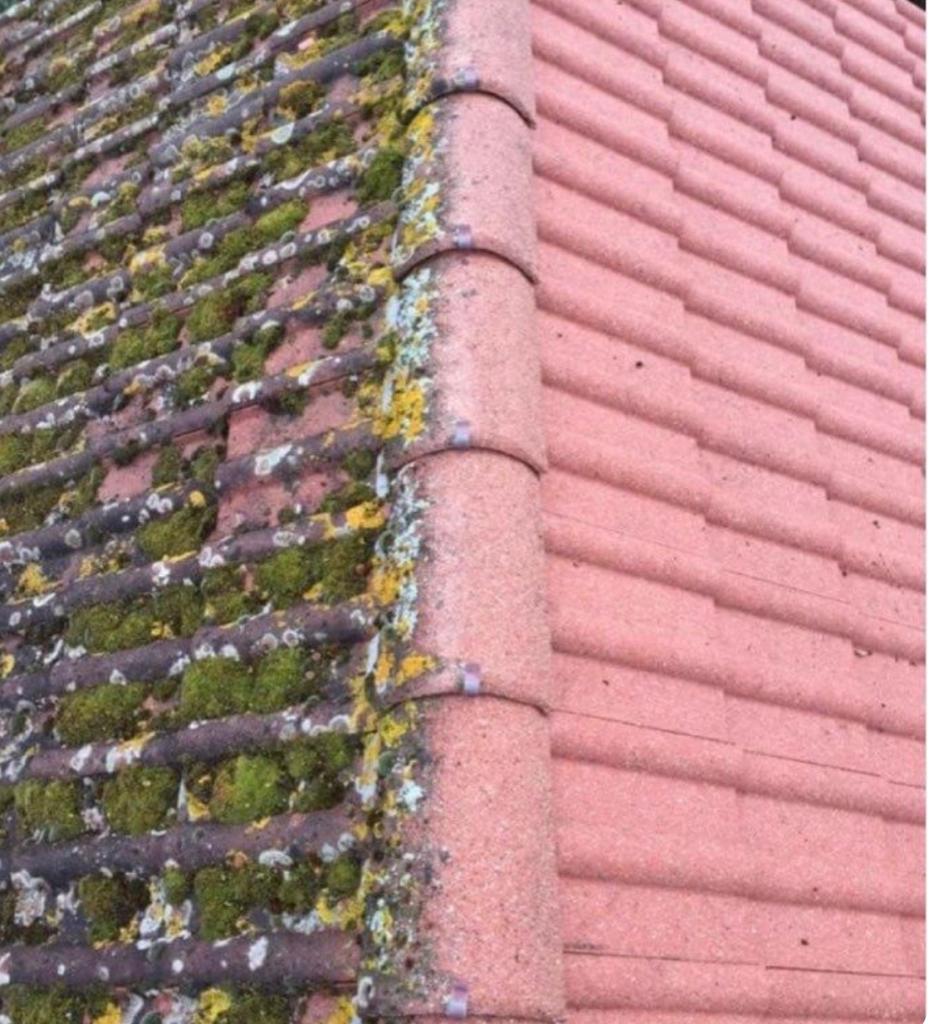 Artisan Couvreur, charpentier, zingueur et ramoneur  à Villeneuve-d'Ascq (59650) dans le Nord (59)