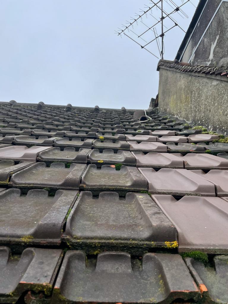 Artisan Couvreur, charpentier, zingueur et ramoneur  à Villeneuve-d'Ascq (59650) dans le Nord (59)